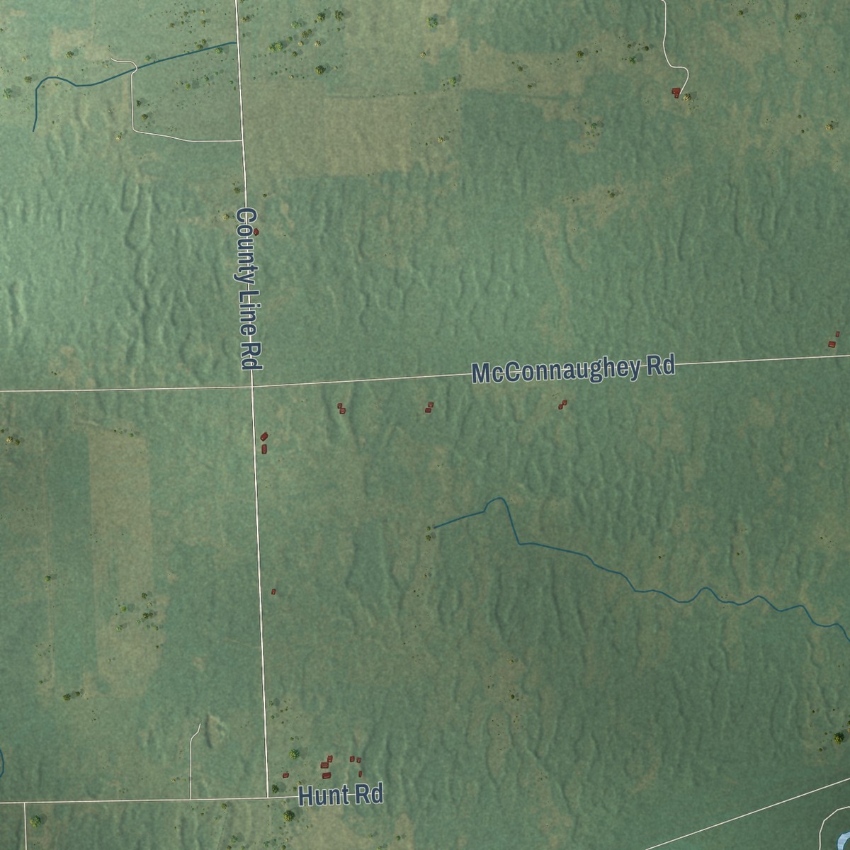 Second close-up of the map of Wellington, Michigan print showing more streets and buildings