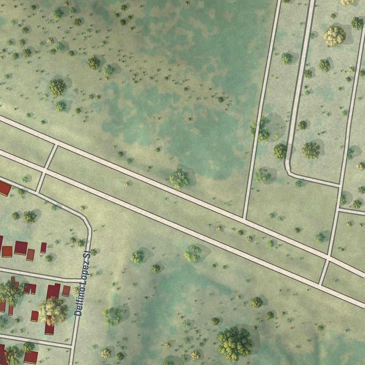 Second close-up of the map of West Alto Bonito, Texas print showing more streets and buildings