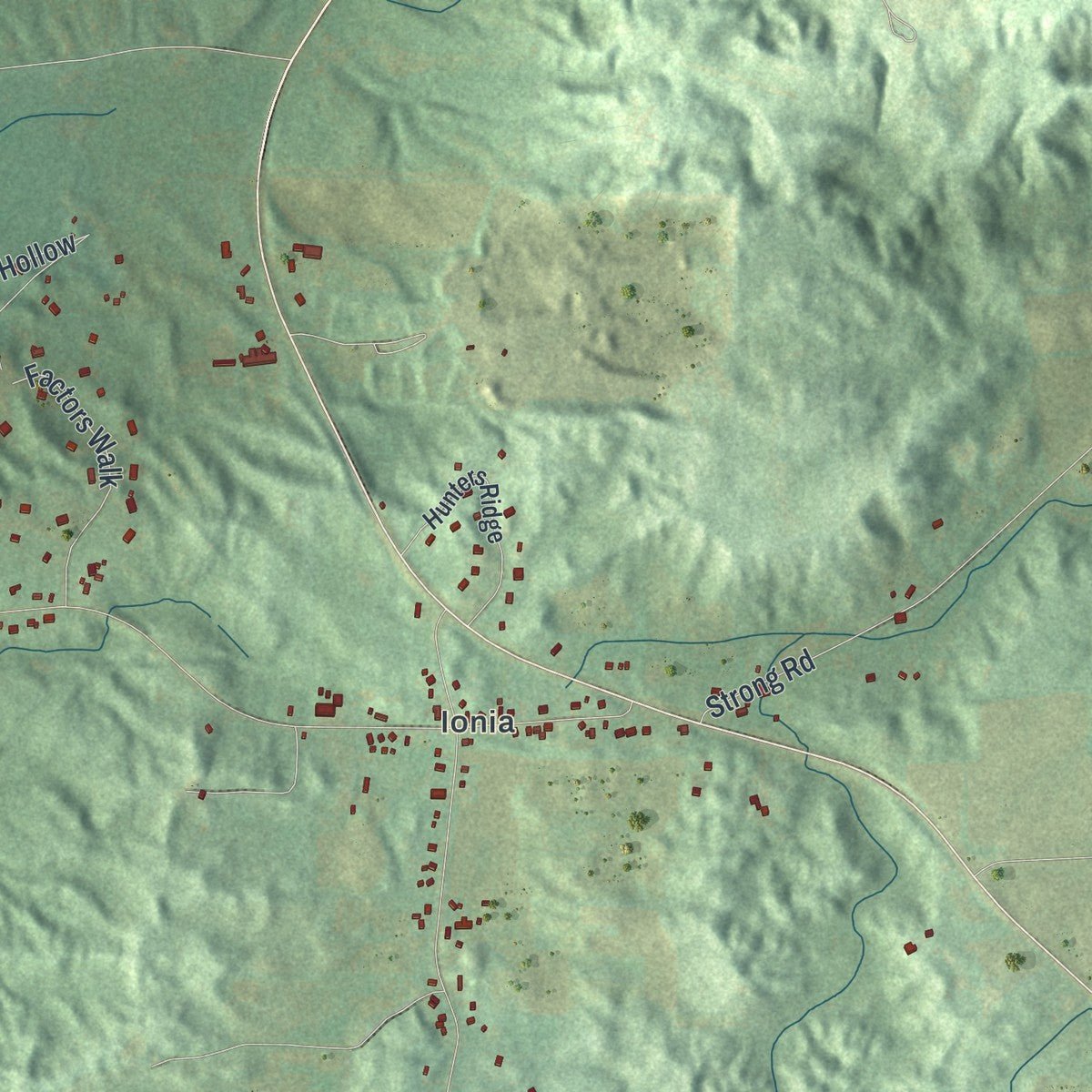 Second close-up of the map of West Bloomfield, New York print showing more streets and buildings