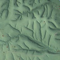 Second close-up of the map of West Peavine, Oklahoma print showing more streets and buildings