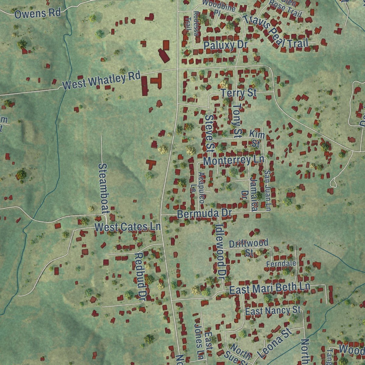 Second close-up of the map of White Oak, Texas print showing more streets and buildings