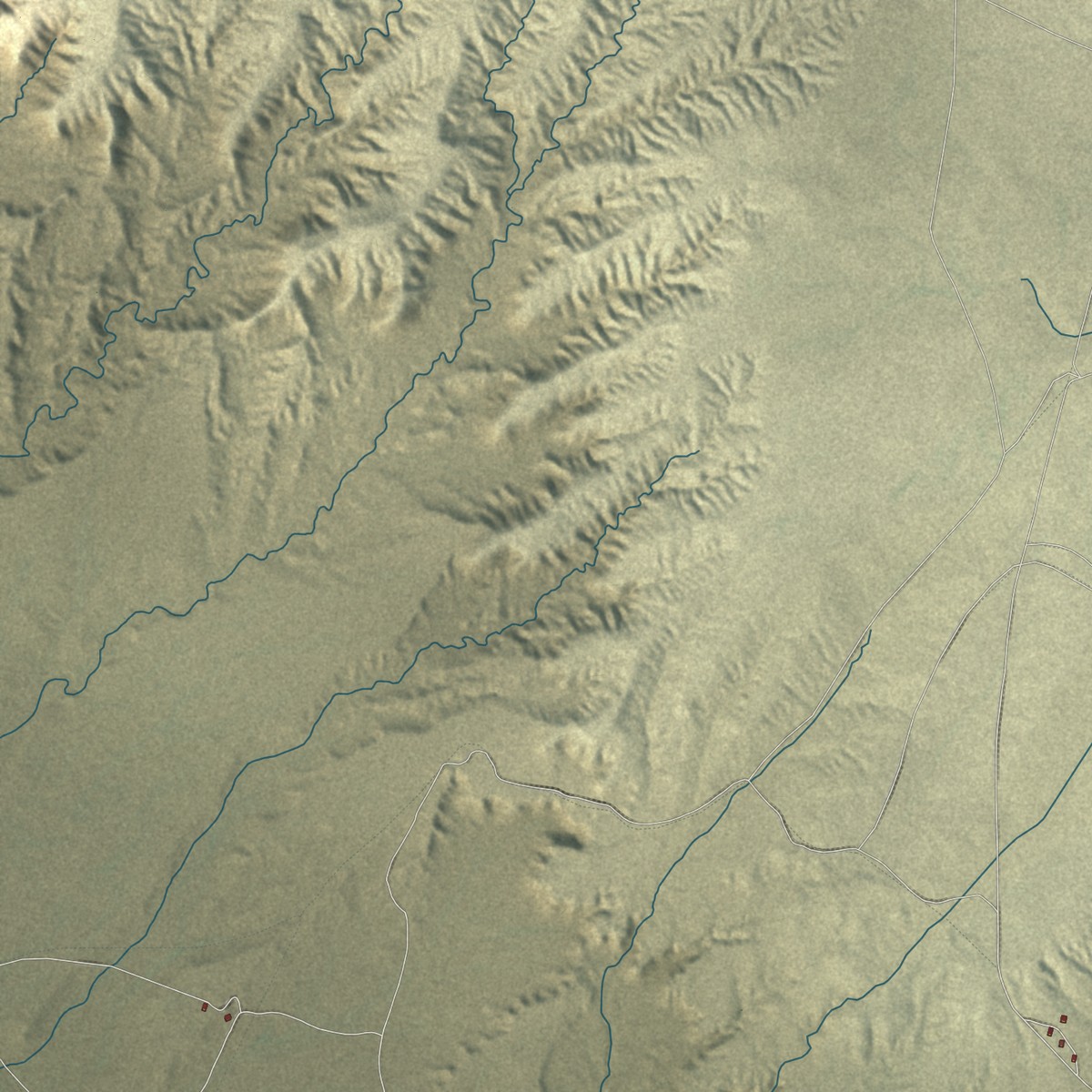 Second close-up of the map of Whitecone, Arizona print showing more streets and buildings