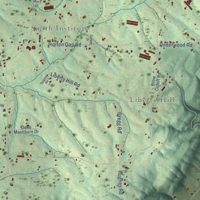 Second close-up of the map of Whitesboro, Alabama print showing more streets and buildings