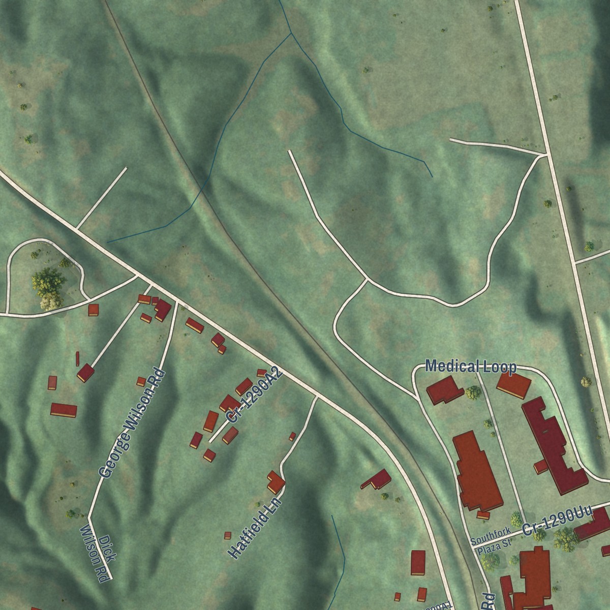 Second close-up of the map of Whitley City, Kentucky print showing more streets and buildings