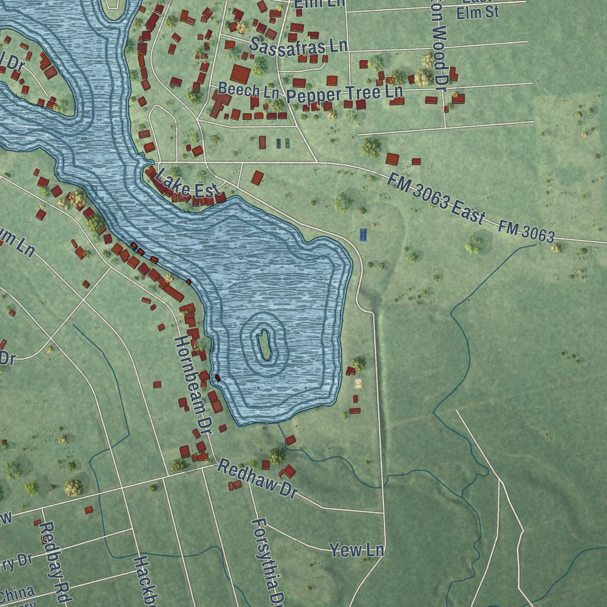 Second close-up of the map of Wildwood, Texas print showing more streets and buildings