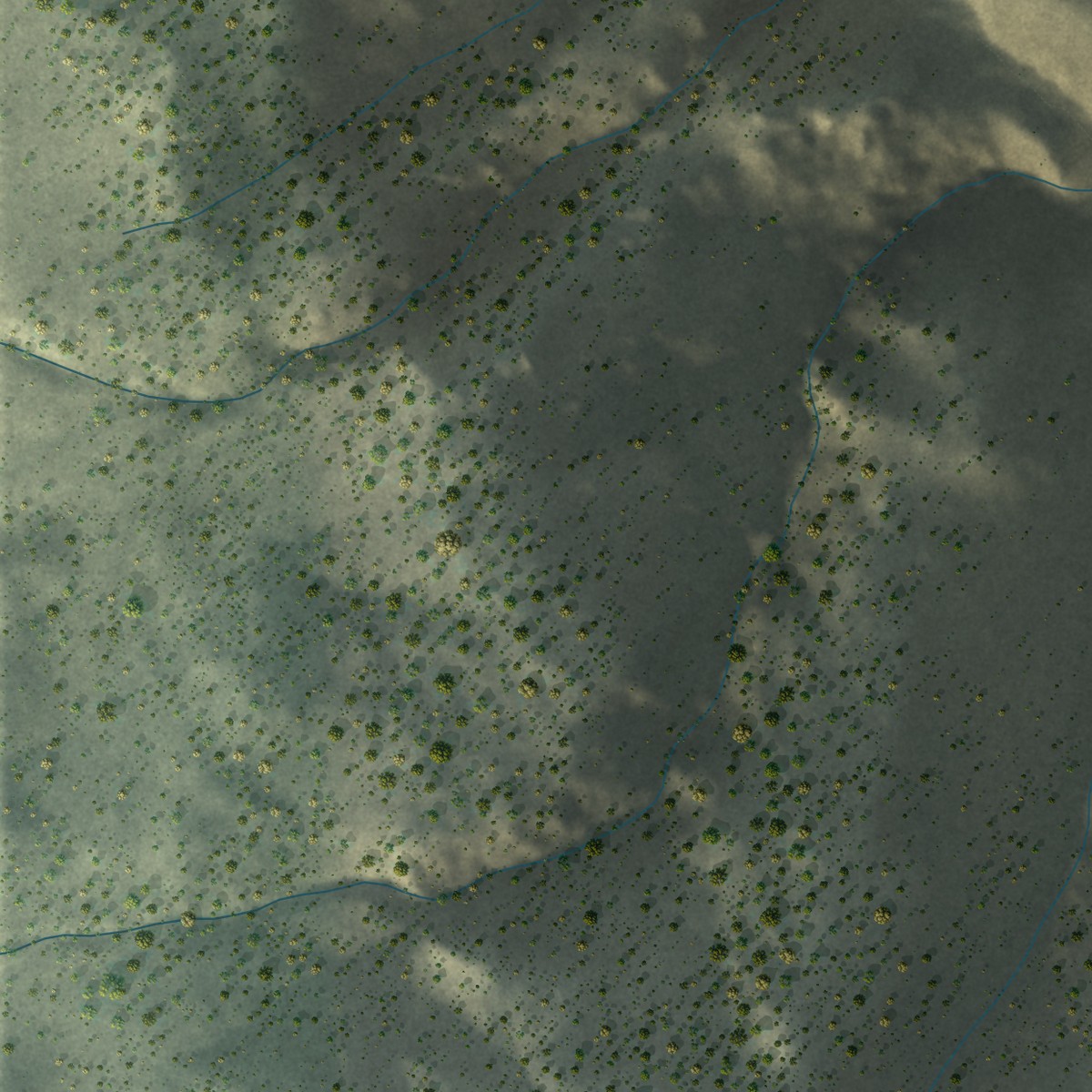 Second close-up of the map of Wilkerson, California print showing more streets and buildings