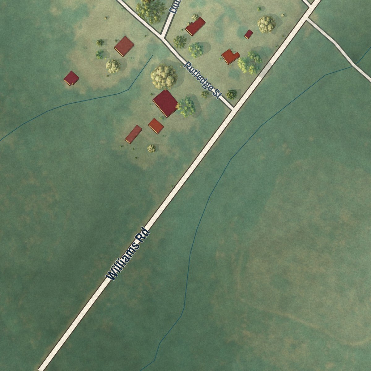 Second close-up of the map of Williams, South Carolina print showing more streets and buildings