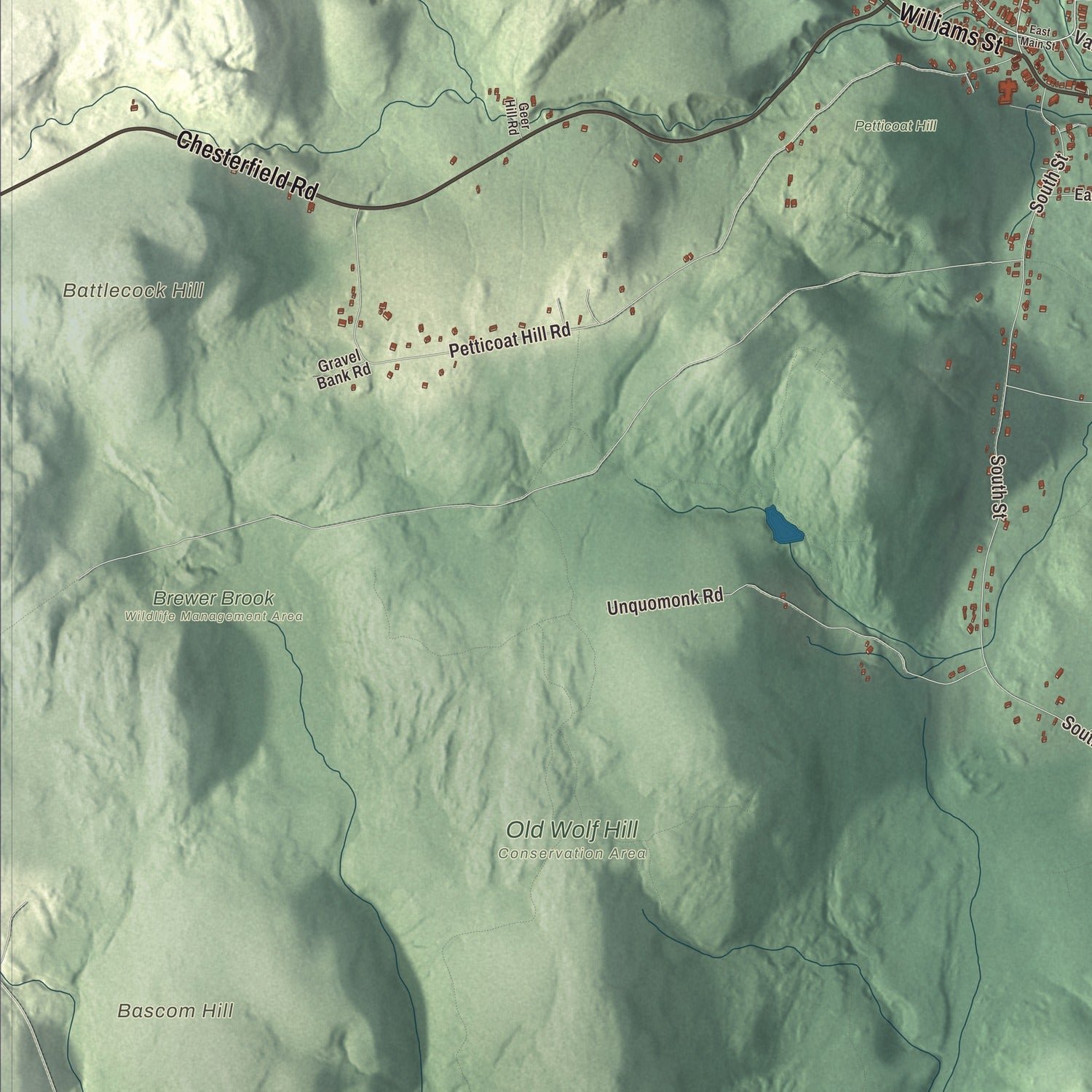 Close-up of the map of Williamsburg, Massachusetts print showing terrain and local geography