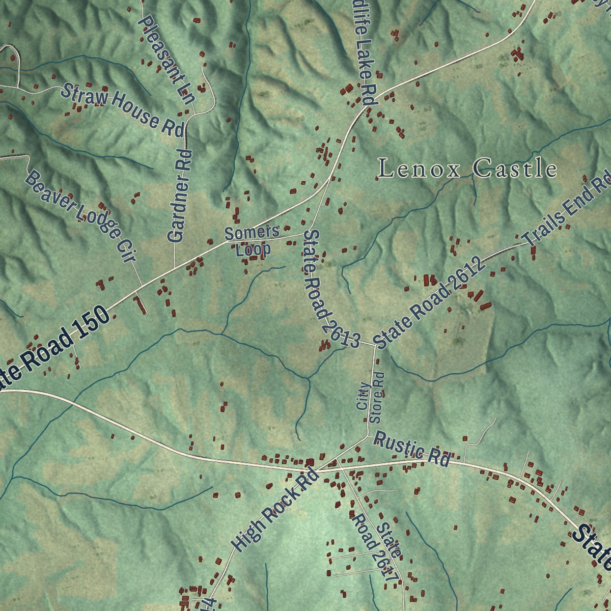 Second close-up of the map of Williamsburg, North Carolina print showing more streets and buildings