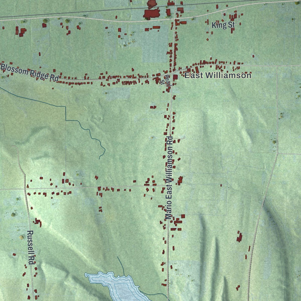 Second close-up of the map of Williamson, New York print showing more streets and buildings
