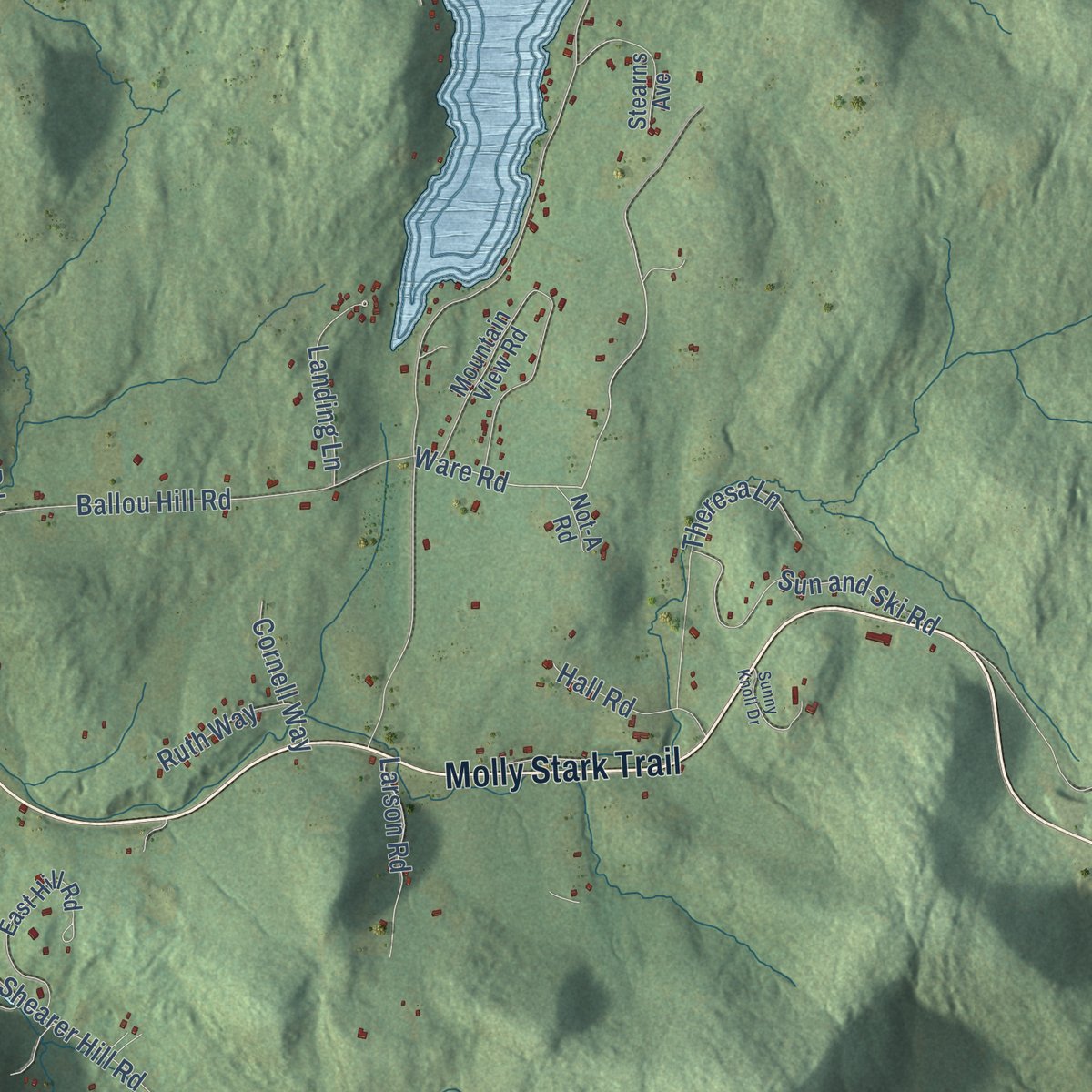 Second close-up of the map of Wilmington, Vermont print showing more streets and buildings