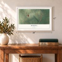 Winona, Texas map, 12 x 18 inch print in a white frame in an entryway
