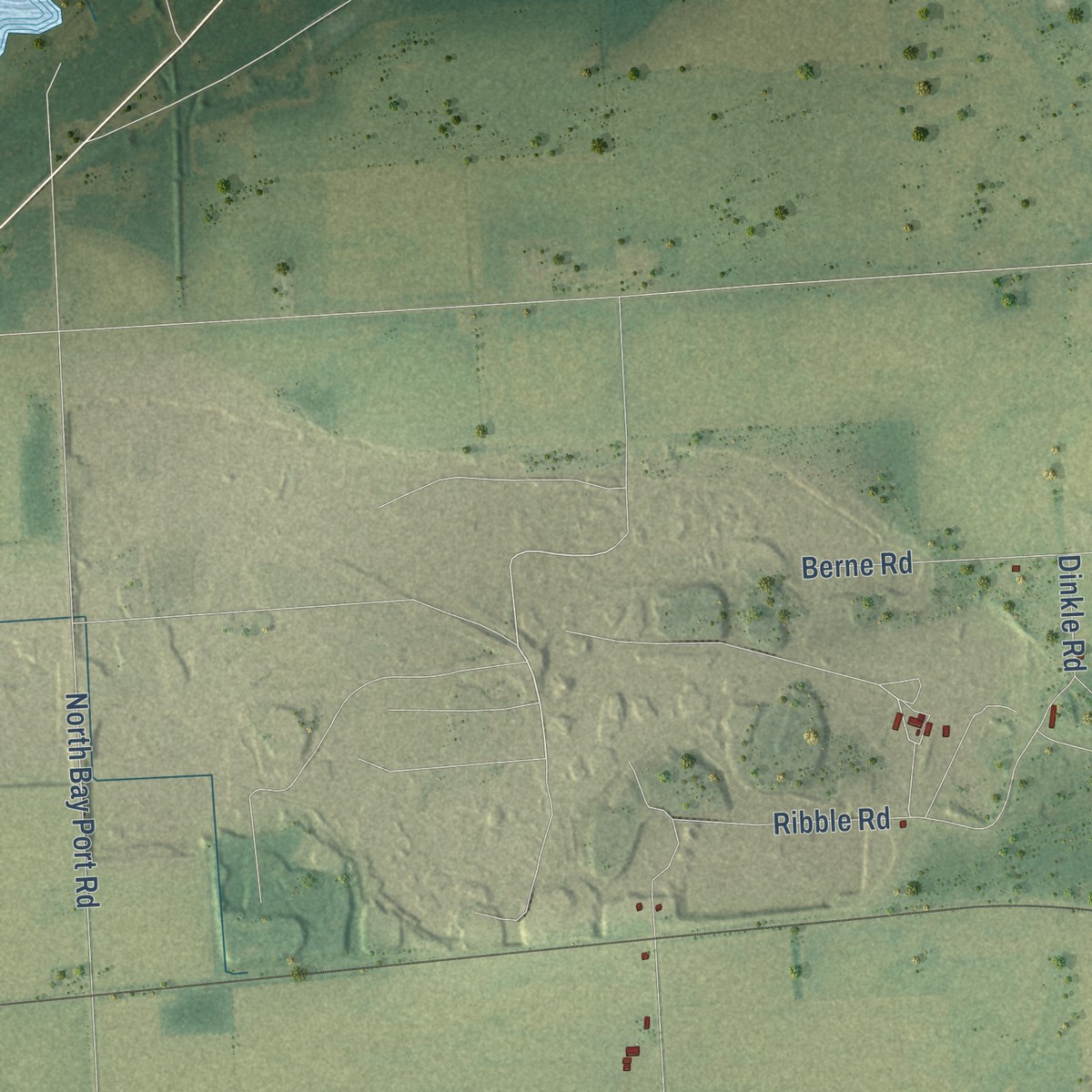 Second close-up of the map of Winsor, Michigan print showing more streets and buildings
