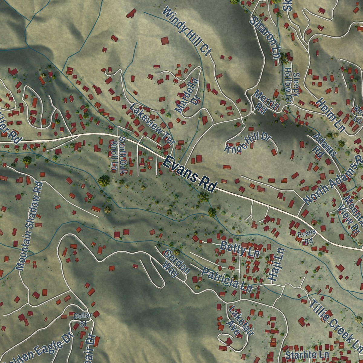 Second close-up of the map of Wofford Heights, California print showing more streets and buildings