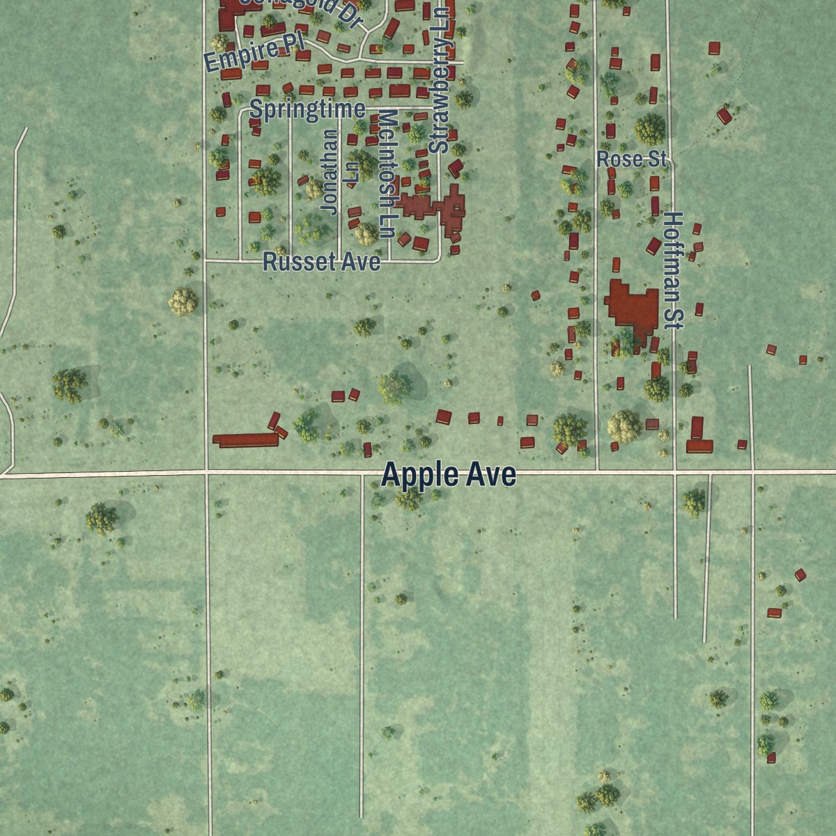 Second close-up of the map of Wolf Lake, Michigan print showing more streets and buildings