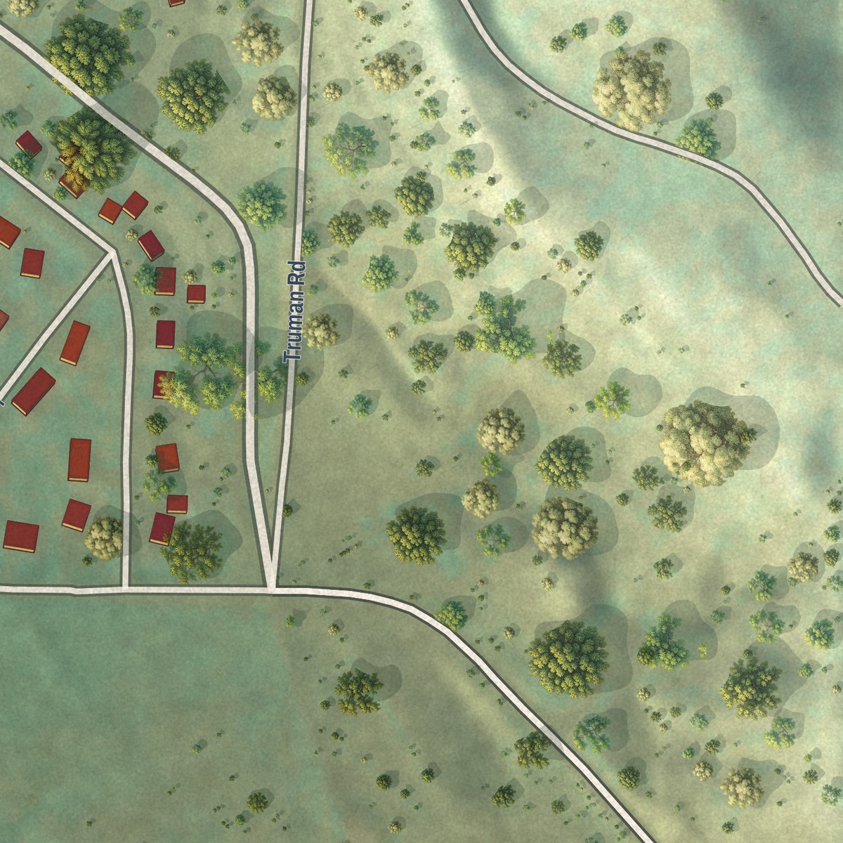 Second close-up of the map of Wonderland Homes, South Dakota print showing more streets and buildings