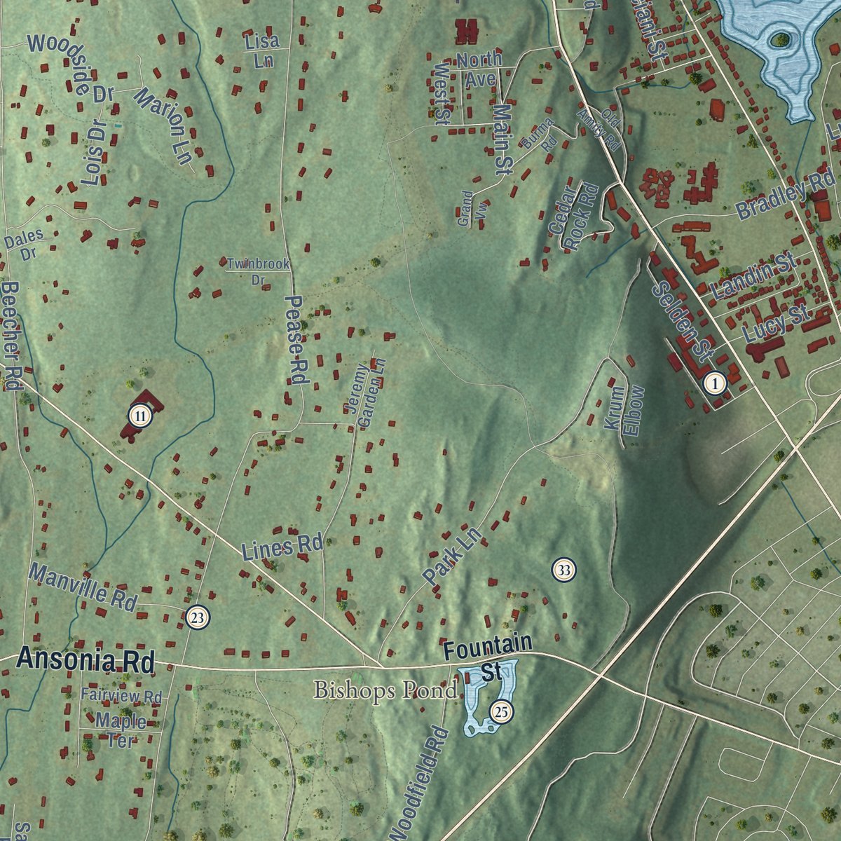 Second close-up of the map of Woodbridge, Connecticut print showing more streets and buildings