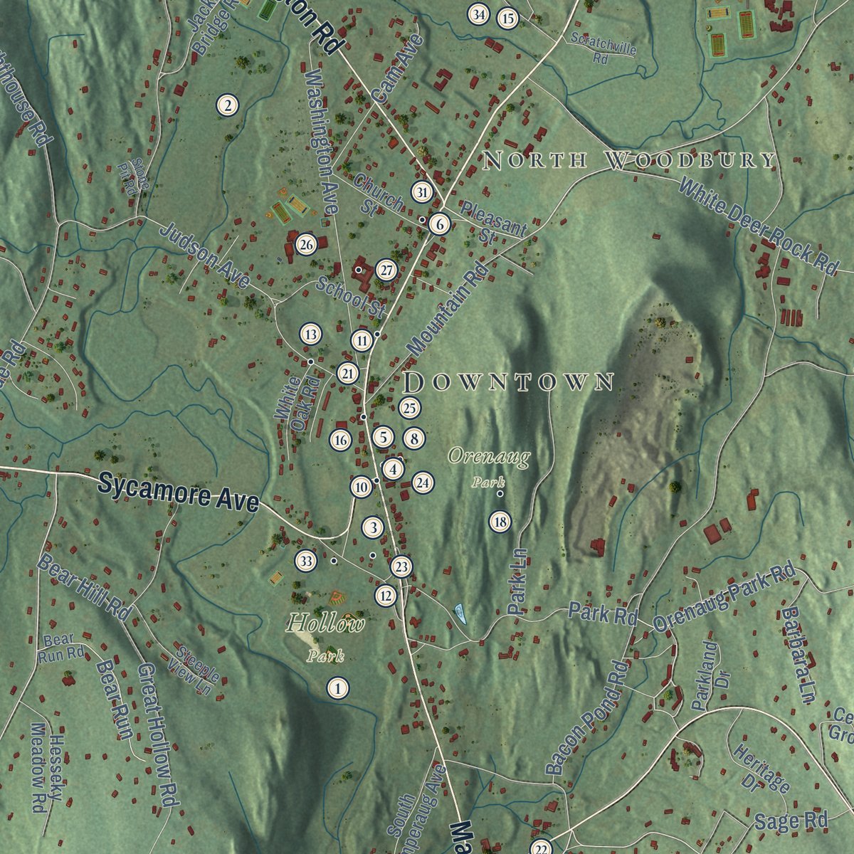 Second close-up of the map of Woodbury, Connecticut print showing more streets and buildings