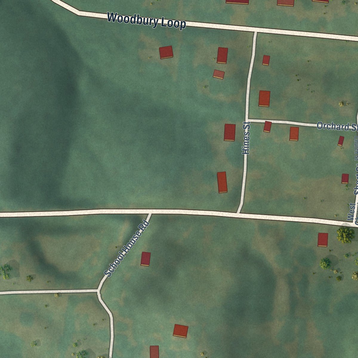 Second close-up of the map of Woodbury, Kentucky print showing more streets and buildings