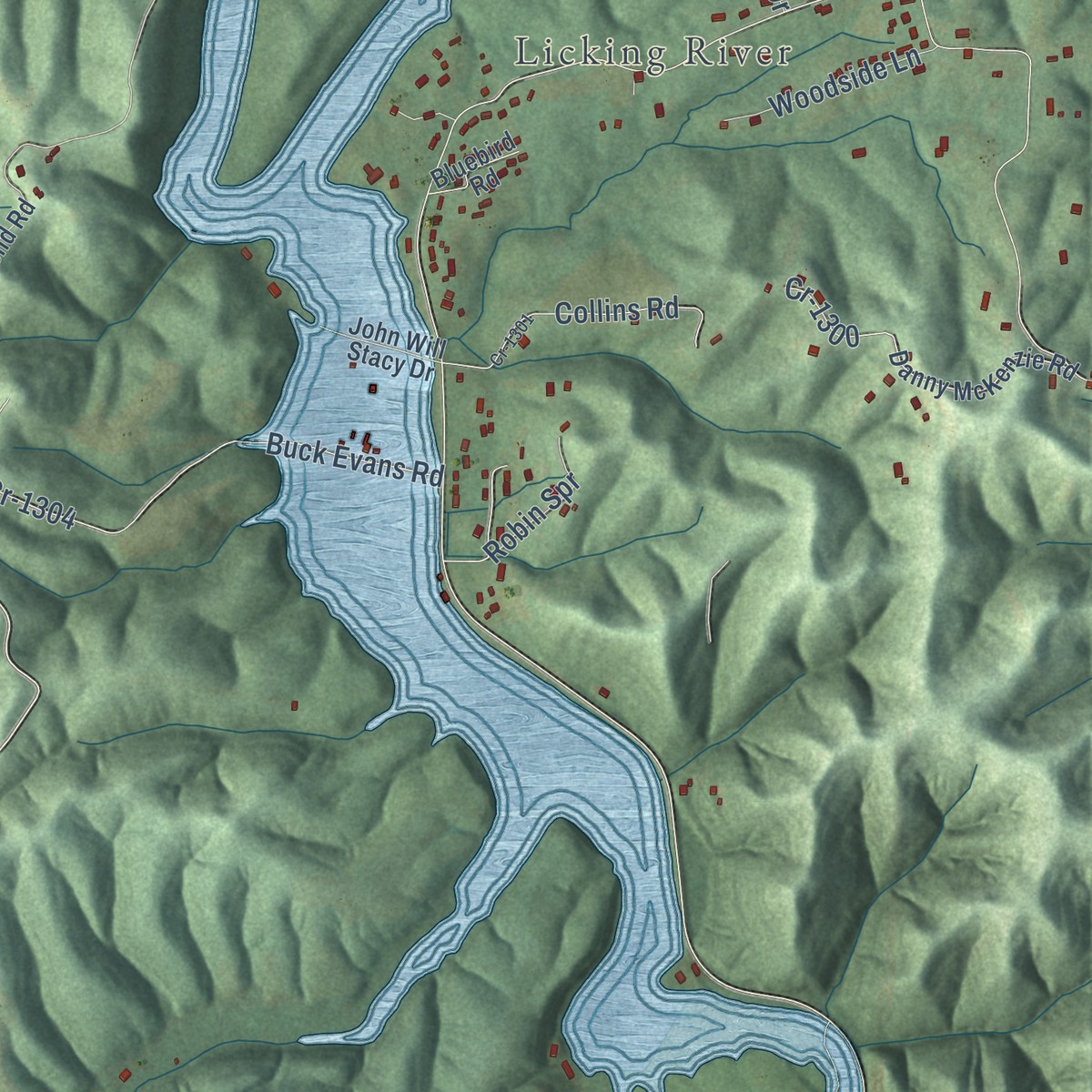 Second close-up of the map of Woodsbend, Kentucky print showing more streets and buildings