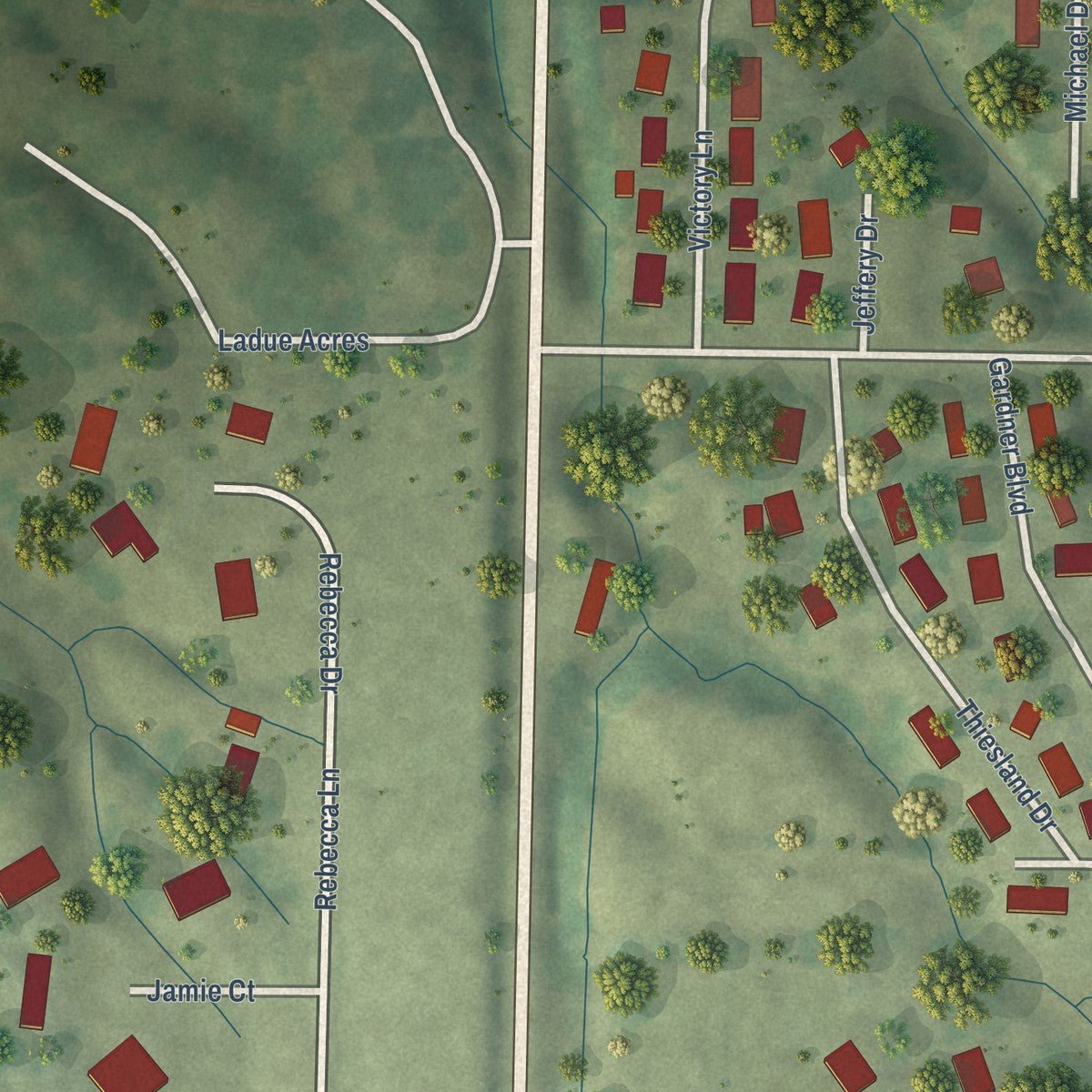 Second close-up of the map of Woodson, Illinois print showing more streets and buildings