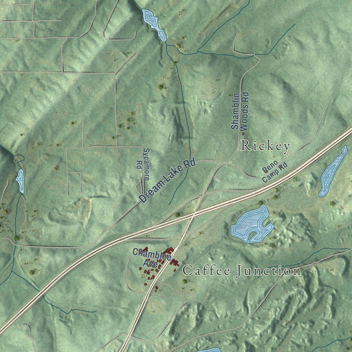Second close-up of the map of Woodstock, Alabama print showing more streets and buildings