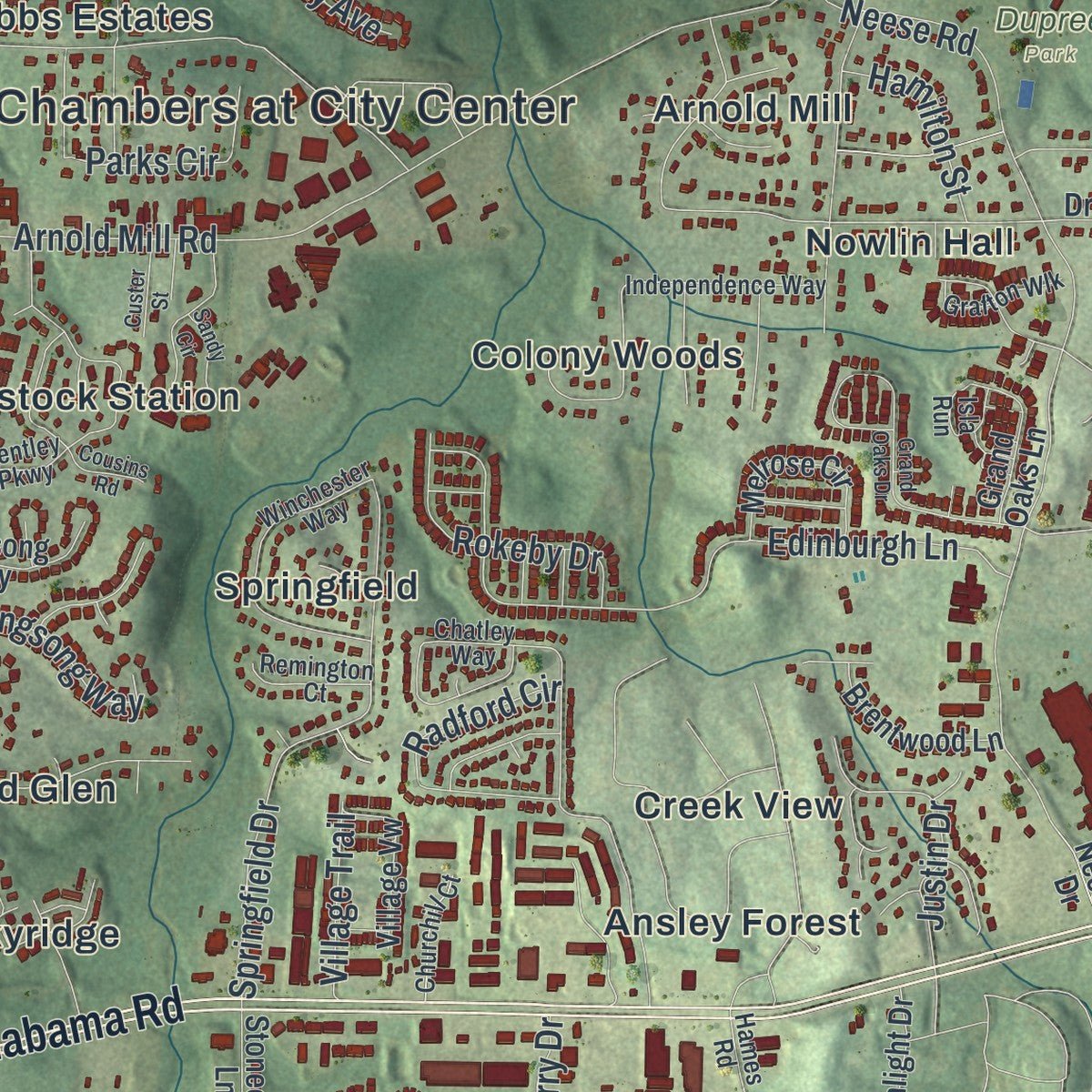 Second close-up of the map of Woodstock, Georgia print showing more streets and buildings