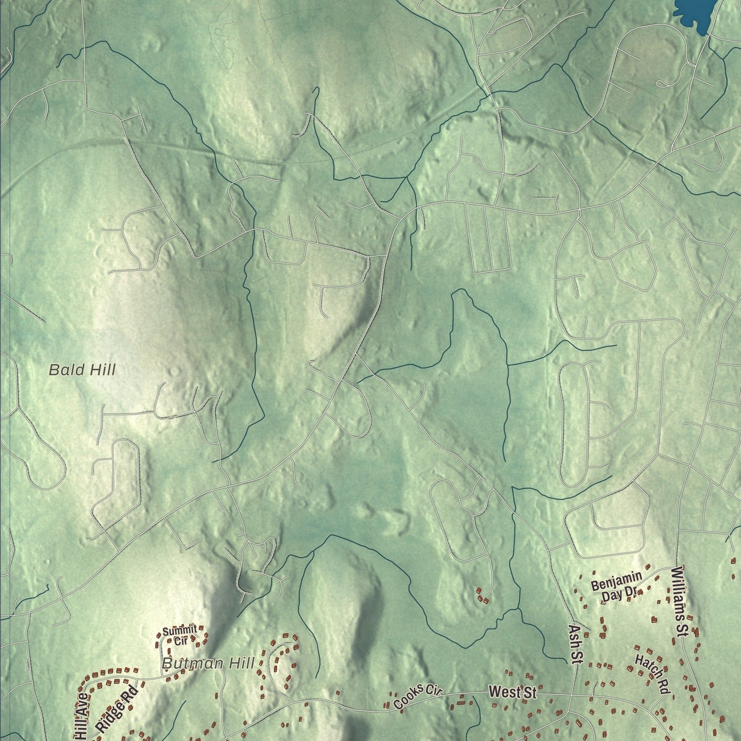 Close-up of the map of Wrentham, Massachusetts print showing terrain and local geography