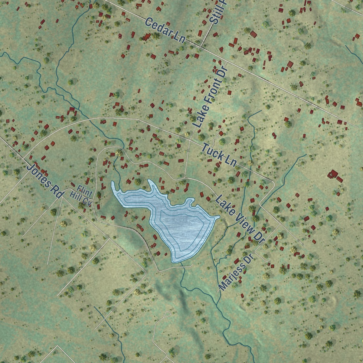 Second close-up of the map of Wyldwood, Texas print showing more streets and buildings