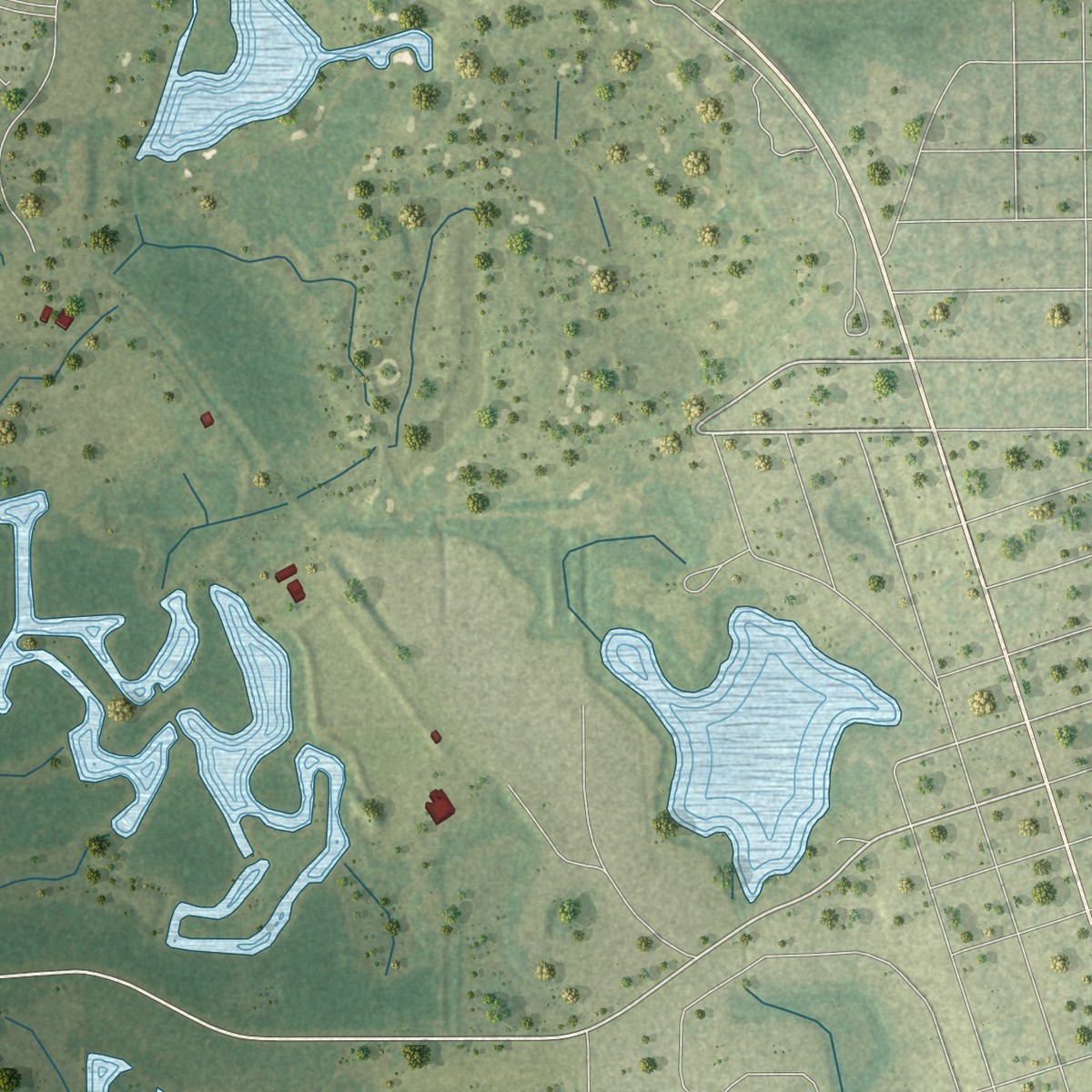 Second close-up of the map of Yalaha, Florida print showing more streets and buildings