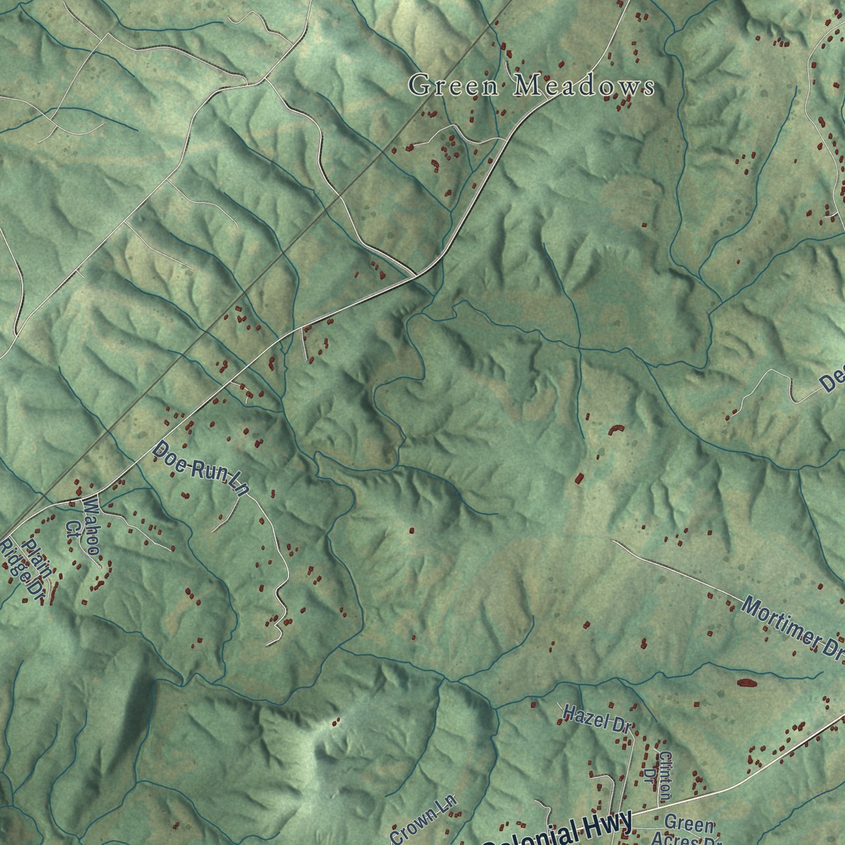 Second close-up of the map of Yellow Branch, Virginia print showing more streets and buildings