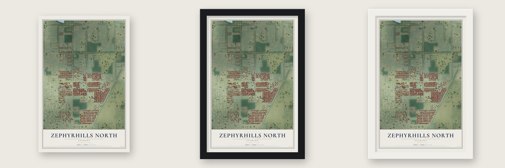 Zephyrhills North, Florida map unframed, in a black wood frame and in a white wood frame