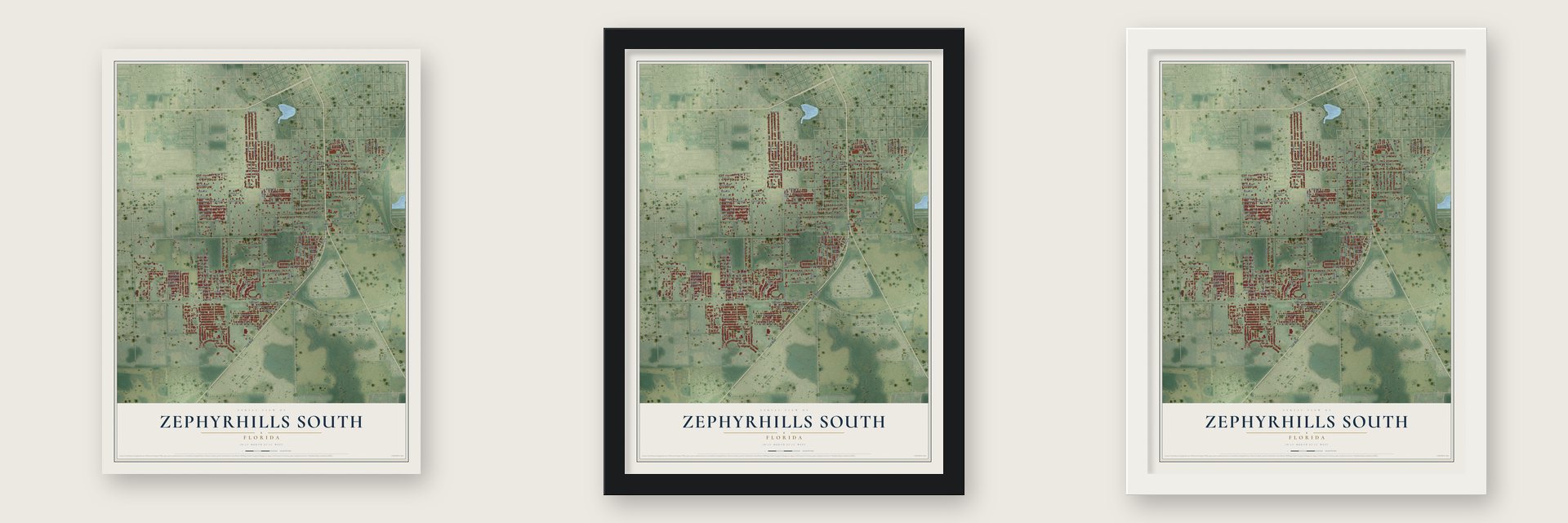 Zephyrhills South, Florida map unframed, in a black wood frame and in a white wood frame