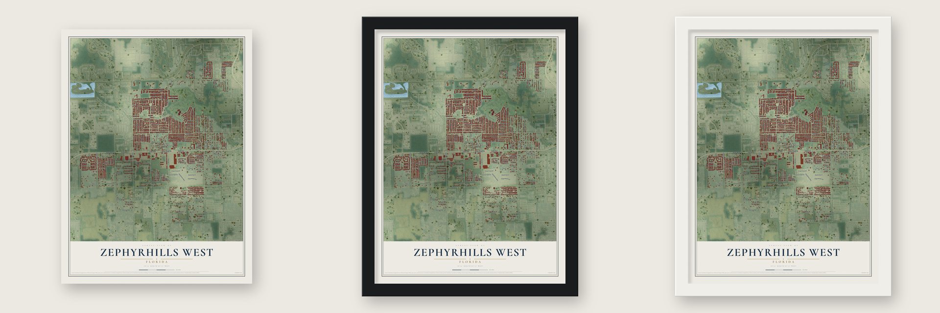 Zephyrhills West, Florida map unframed, in a black wood frame and in a white wood frame