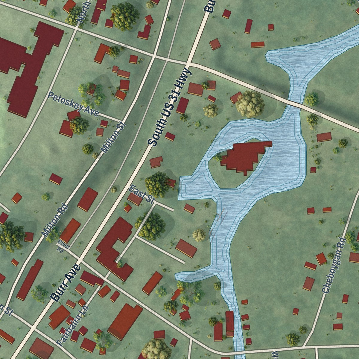 Close-up of the map of Alanson, Michigan print showing street and building detail