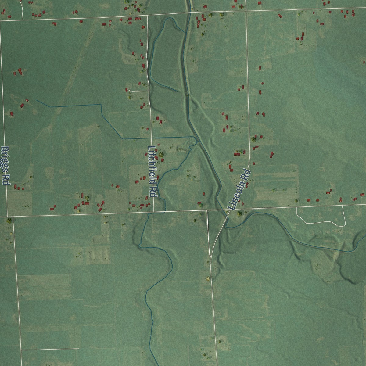 Second close-up of the map of Albee, Michigan print showing more streets and buildings