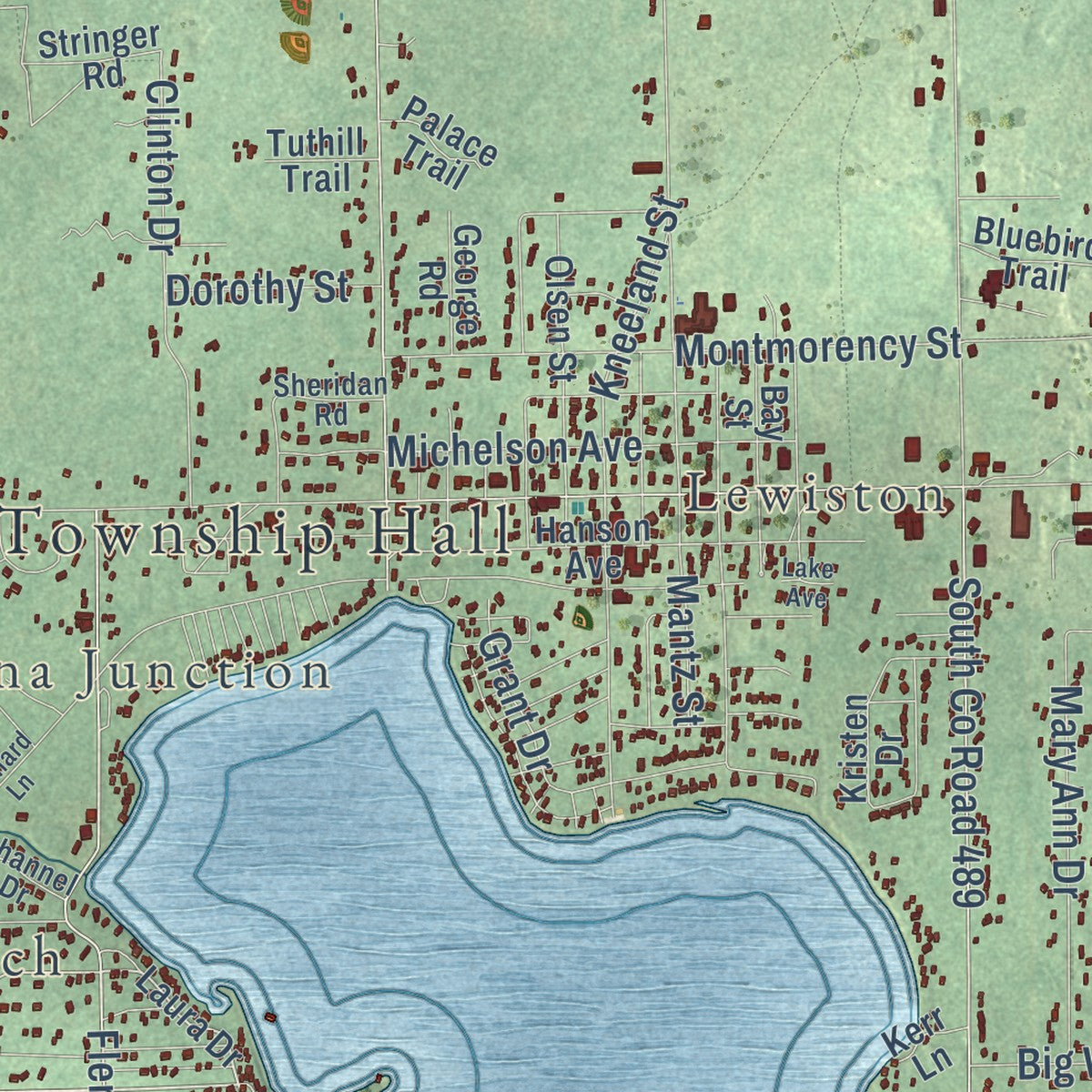 Close-up of the map of Albert, Michigan print showing street and building detail