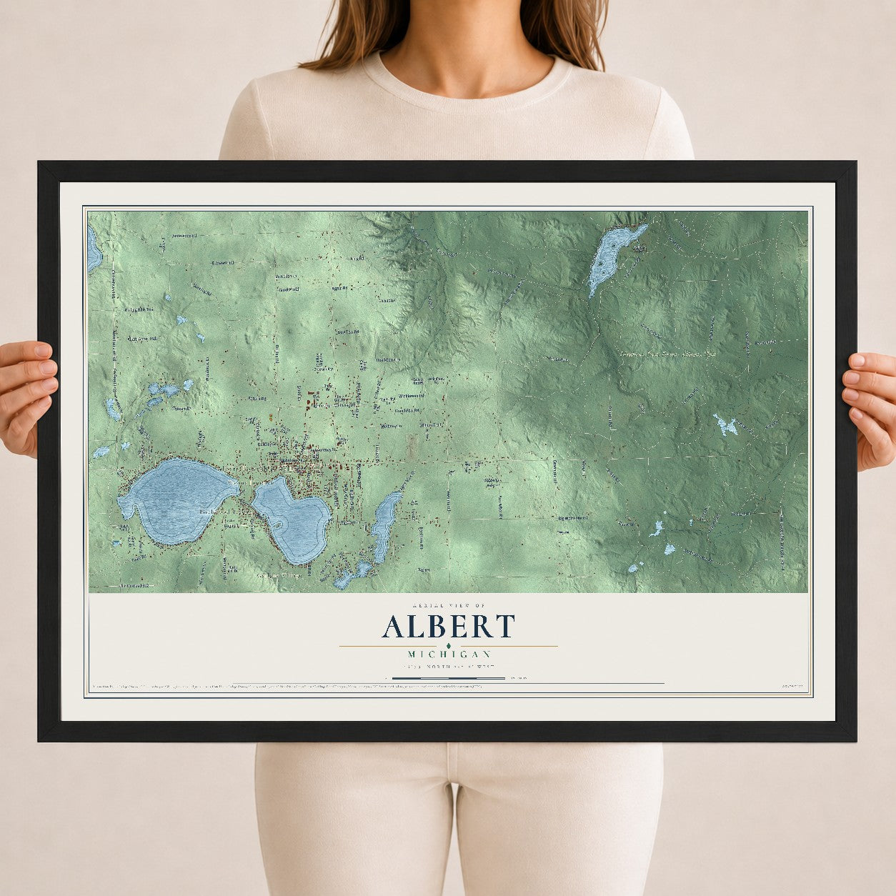 Map of Albert, Michigan, 18 x 24 inch print in a black wood frame