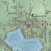 Close-up of the map of Albert, Michigan print showing street and building detail