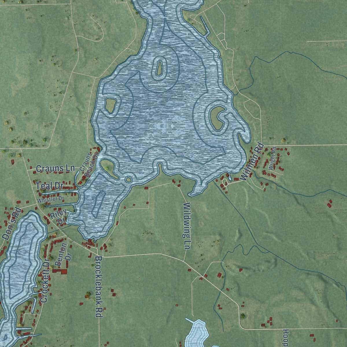 Close-up of the map of Algansee, Michigan print showing street and building detail