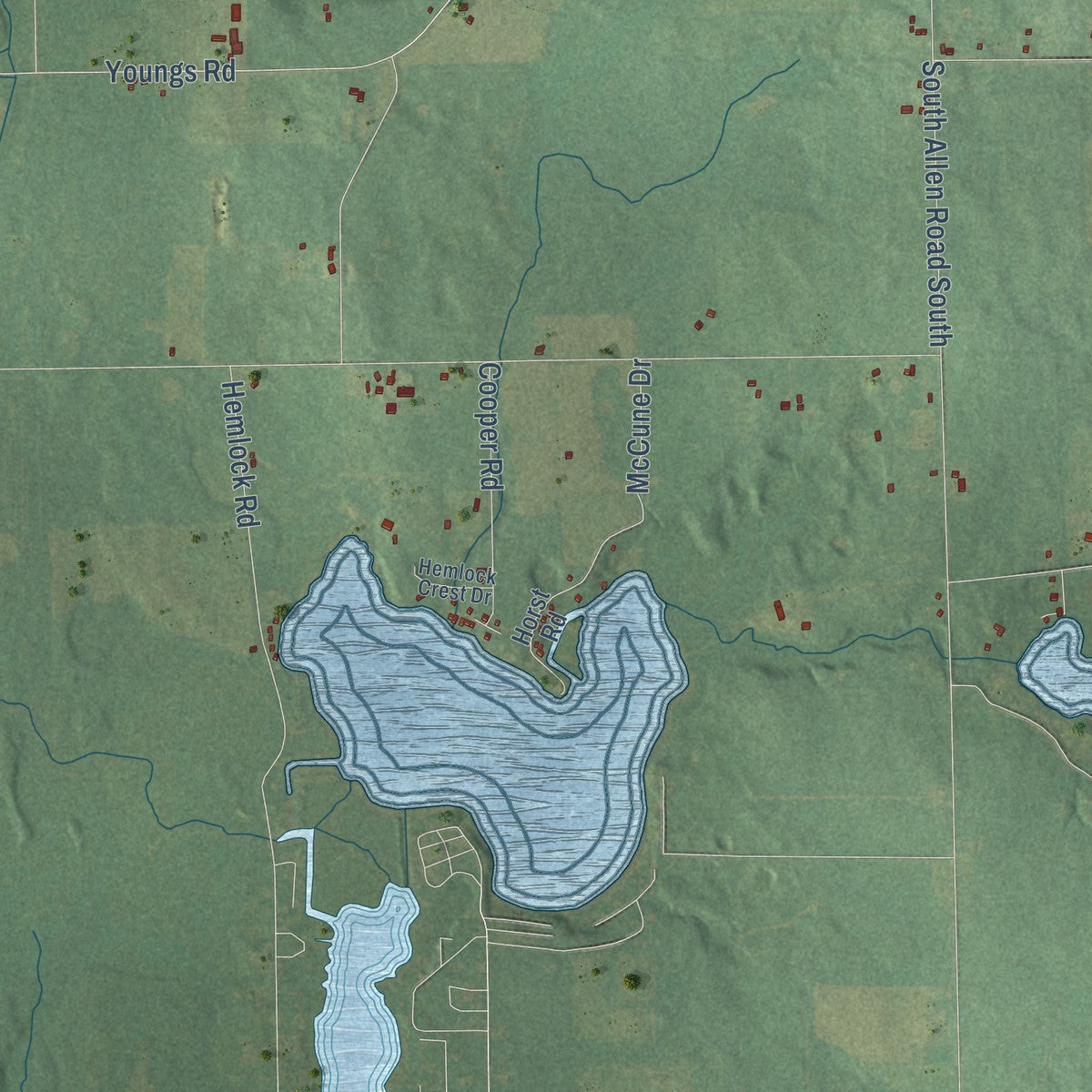 Close-up of the map of Allen, Hillsdale County, Michigan print showing street and building detail