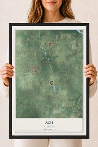 Map of Ash, Michigan, 18 x 24 inch print in a black wood frame