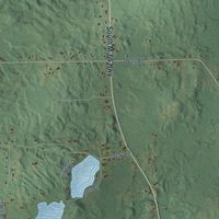 Close-up of the map of Assyria, Michigan print showing street and building detail