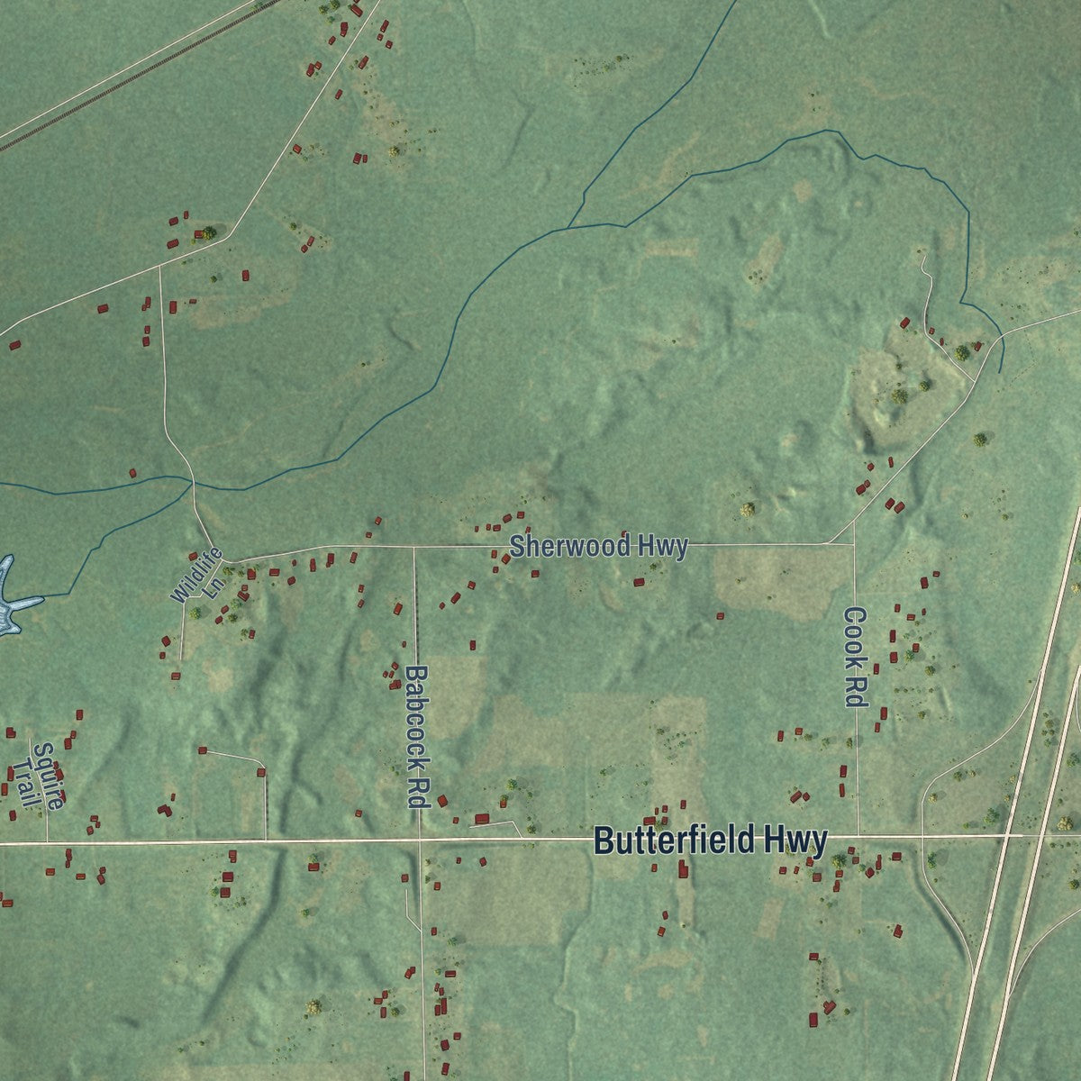 Second close-up of the map of Bellevue, Eaton County, Michigan print showing more streets and buildings