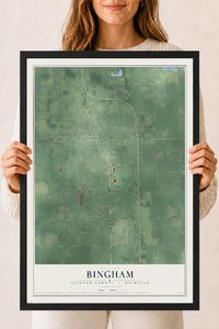 Map of Bingham, Clinton County, Michigan, 18 x 24 inch print in a black wood frame