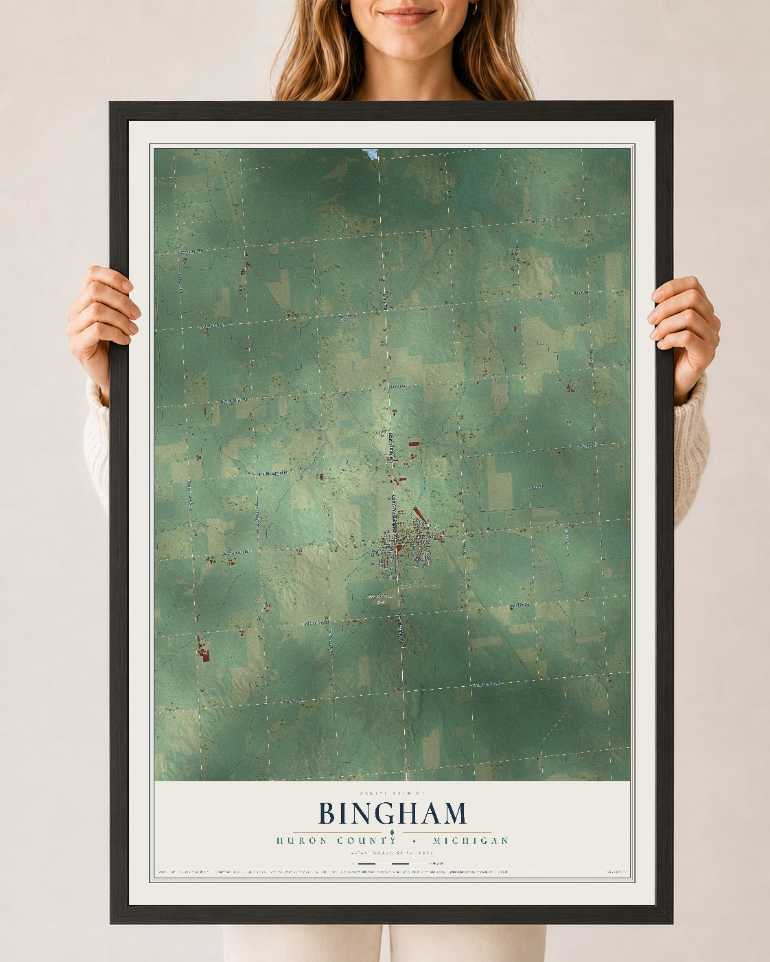 Map of Bingham, Huron County, Michigan, 24 x 36 inch print in a black wood frame