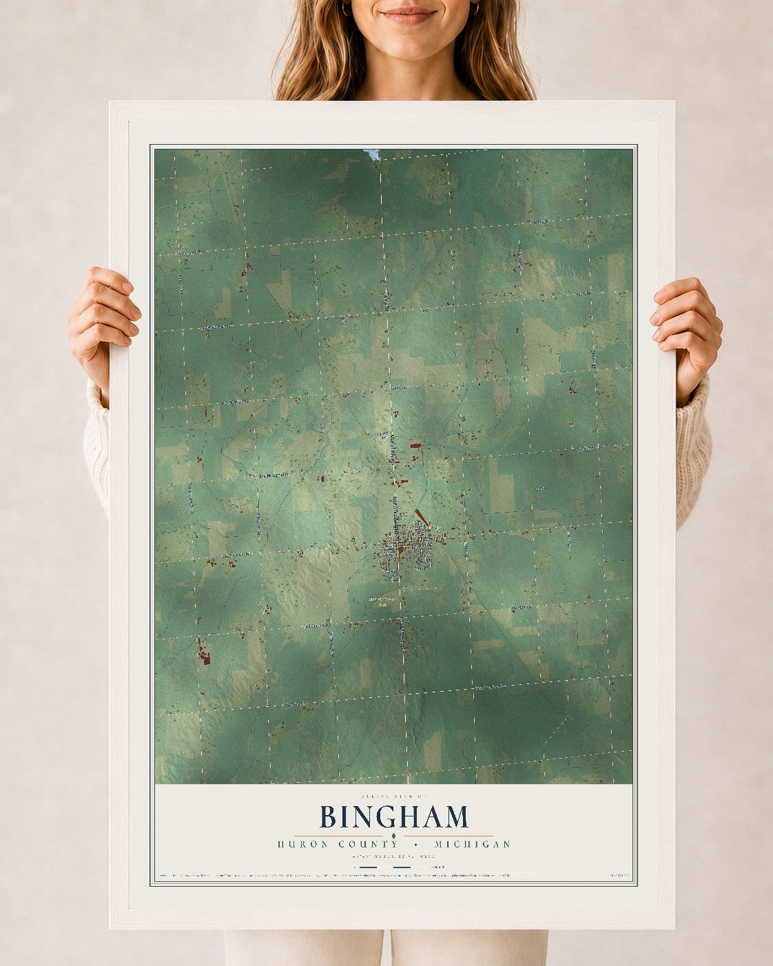 Map of Bingham, Huron County, Michigan, 24 x 36 inch print in a white wood frame