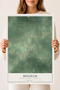 Map of Bingham, Huron County, Michigan, 18 x 24 inch unframed archival matte print