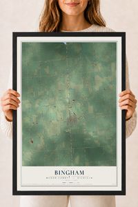 Map of Bingham, Huron County, Michigan, 18 x 24 inch print in a black wood frame