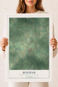 Map of Bingham, Huron County, Michigan, 18 x 24 inch print in a white wood frame